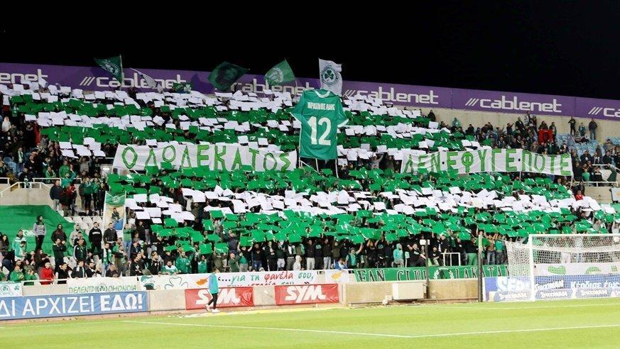 o04.jpg
